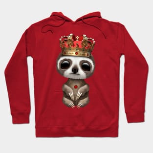 Cute Baby Sloth Wearing Crown Hoodie